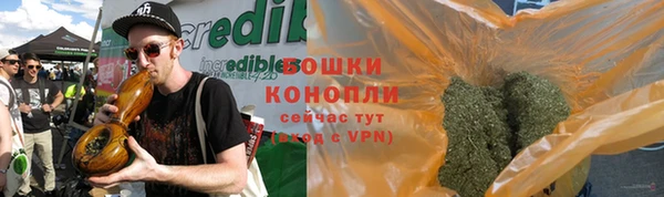 СК Новозыбков