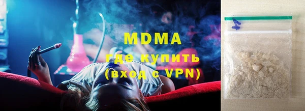 сатива Бородино