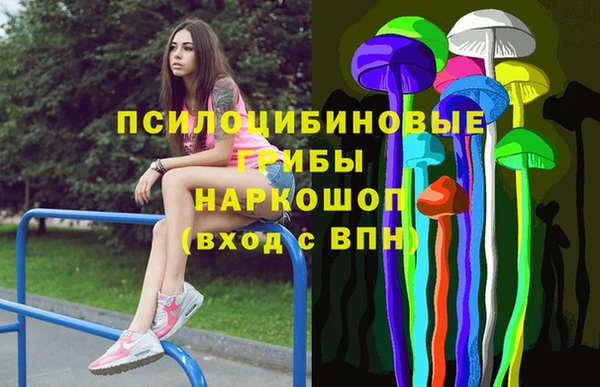 СК Новозыбков