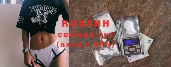 СК Новозыбков