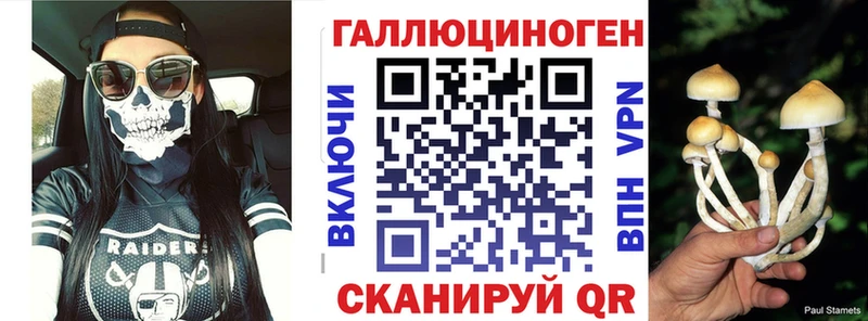 площадка официальный сайт  хочу   Зуевка  Галлюциногенные грибы Psilocybine cubensis 